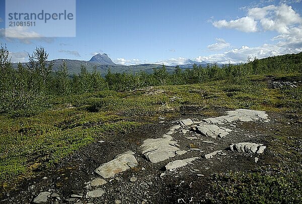 Jakobsbakken  Nordland  Norway  Europe