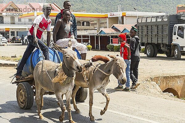 Nairobi  Kenia  Afrika 03.01.2018. Ein Mann trinkt Wasser auf einem von Eseln gezogenen Holzkarren im kenianischen Rift Valley  Afrika