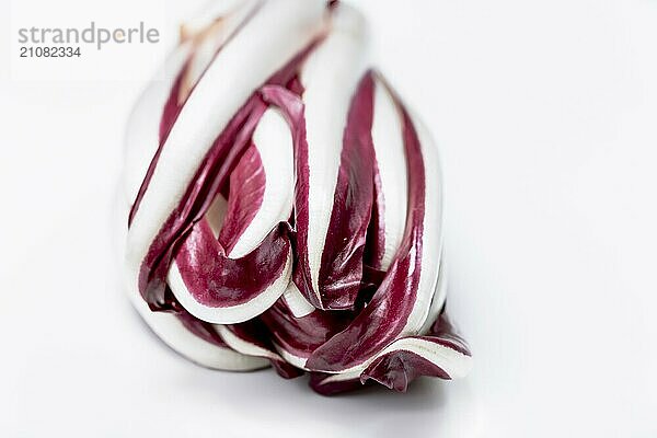 Wilder radicchio rosso di treviso tardivo vor weißem Hintergrund