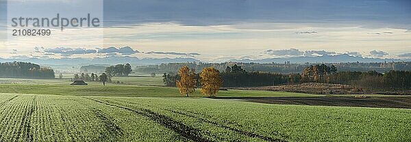 Herbstliche Morgenstimmung mit Alpenpanorama im Ried von Ebersbach