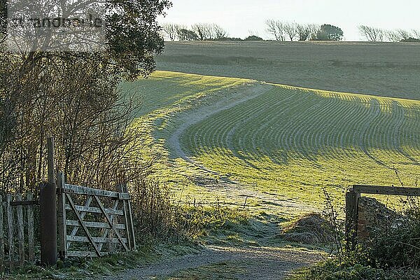 Winterszene eines Tores und eines Weges  der in ein Feld in den South Downs in Sussex führt