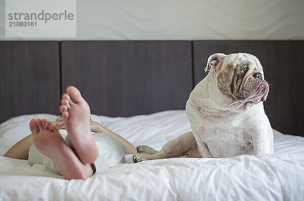 Schöne Frau schläft im Bett mit englischer Bulldogge Welpe. Nur die Füße