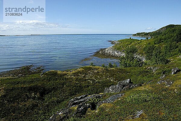 Coastal landscape near Skaland  Senja  Troms  Norway  Europe