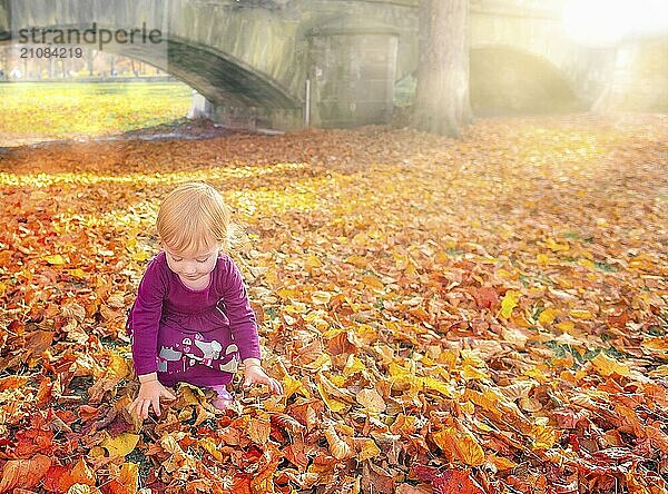 Glückliches kleines Mädchen  das sich unter der warmen Herbstsonne an den gefallenen bunten Blättern erfreut und sich streckt  um sie zu greifen