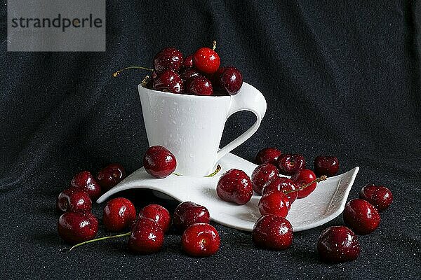 Früchte  rote Kirschen in einer weißen Keramiktasse vor dunklem Hintergrund  Provinz Quebec  Kanada  Nordamerika