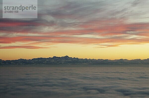 Abendrot über dem Nebelmeer am Bodensee  Inversionswetterlage mit Alpenblick