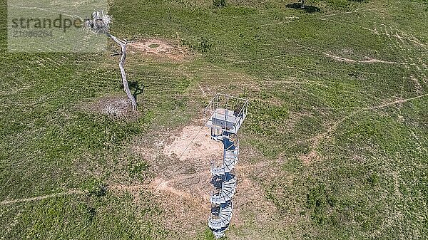 Luftaufnahme eines Jabirus Nests mit Jungvögeln und einem Beobachtungsturm auf einer grünen Wiese  Pantanal Feuchtgebiet  Mato Großo  Brasilien  Südamerika