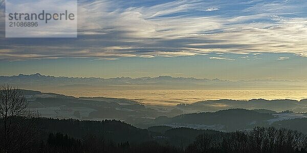 Nebelmeer über dem Bodensee  Inversionswetterlage mit Alpenblick