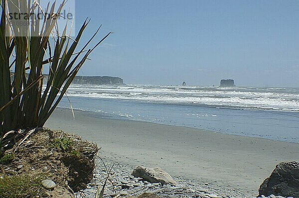 Looking south along black sand beach to Point Elizabeth  north of Greymouth  West Coast  South Island  New Zealand  Oceania