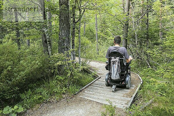 Happy man on wheelchair in nature. Exploring forest wilderness on an accessible dirt path