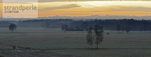 Riedlandschaft mit Alpenkette in der winterlichen Morgenröte