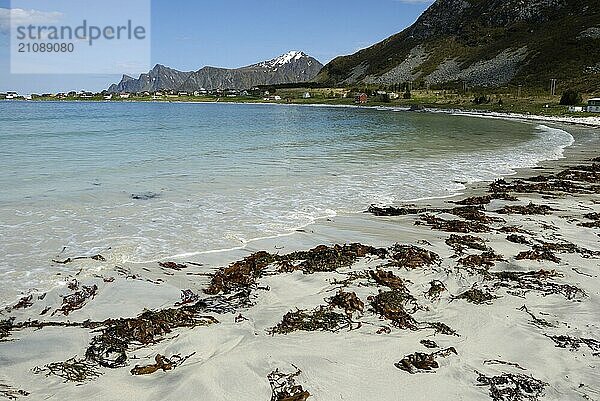 Beach in Ramberg  Flakstadöya  Lofoten  Norway  Europe