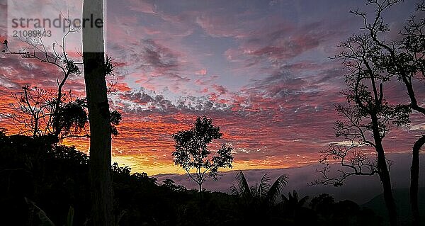 Bunter Sonnenuntergangshimmel in der Serra da Mantiqueira mit Baumsilhouetten im Vordergrund  Itatiaia  Brasilien  Südamerika