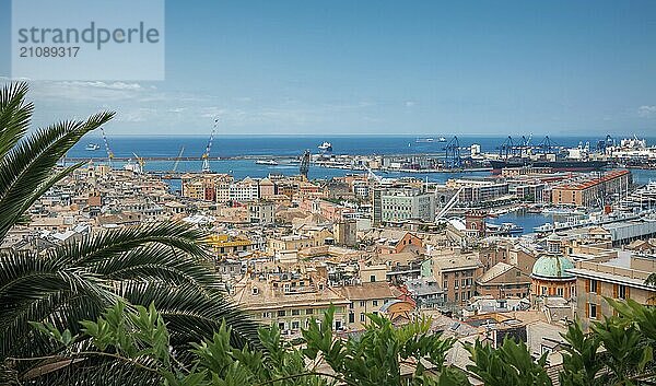 Schönes Stadtbild von Genua Stadt und seinen berühmten Hafen  Bild von Palmen und Bäumen umrahmt  wie eine Postkarte  an einem sonnigen Tag im Sommer  in Italien