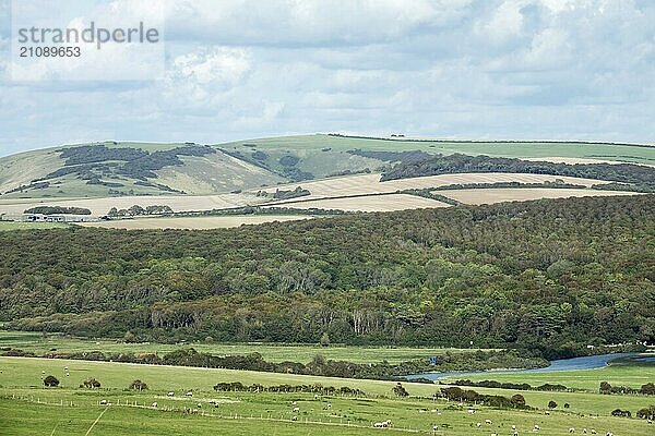 Friston Forest und Fore Down auf der anderen Seite des Cuckmere Valley in Sussex