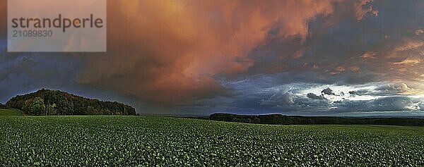 Panorama von Gewitterwolken im Abendrot