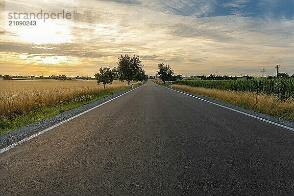 Schöne Landschaft mit einer langen und leeren Straße  die durch Getreidefelder führt  bei Sonnenuntergang  in der Nähe von Schwäbisch Hall  Baden-Württemberg  Deutschland  Europa