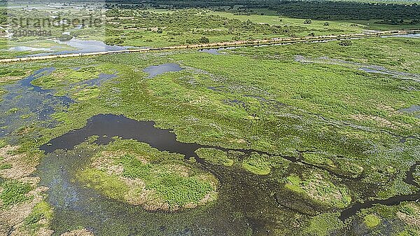 Luftaufnahme der wunderschönen Landschaft des Pantanal Feuchtgebiets mit Transpantaneira Straße und Wasservögeln  Mato Großo  Brasilien  Südamerika