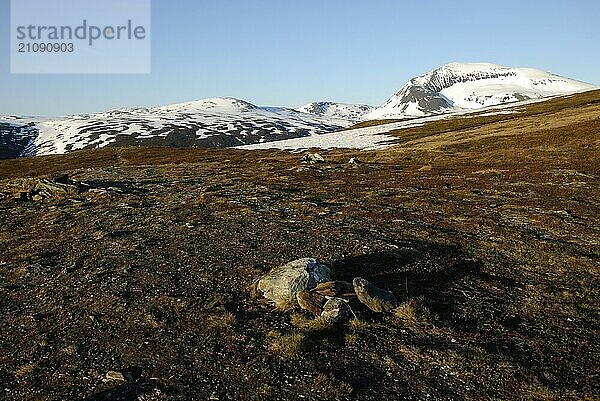 Fjellheisen  Tromsö  Troms  Norway  Europe