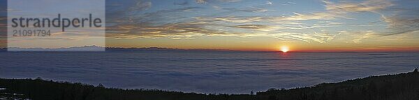 Sonnenuntergang in ein Nebelmeer über dem Bodensee  Inversionswetterlage mit Alpenblick