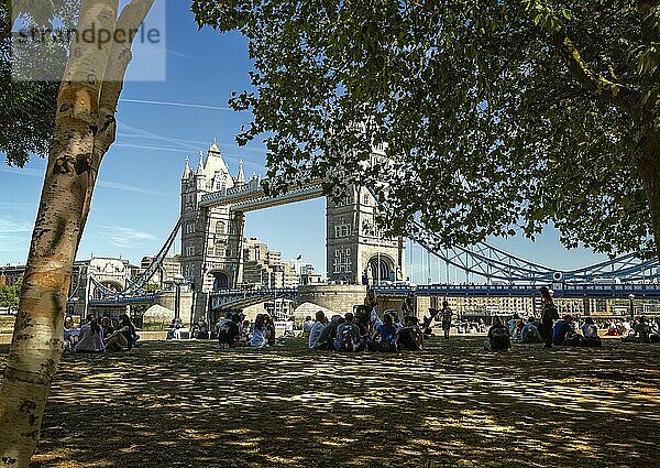 Die historische Brücke Tower Bridge  davor ein schattigen Park  wo Menschen im Schatten von Bäumen sitzen  London  Vereinigte Königreich Großbritannien