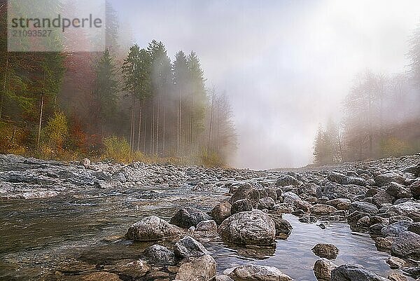 Schöne Herbstlandschaft mit einem Fluss  der durch Steine fließt  umgeben von Wäldern in Herbstfarben und eingehüllt in einen mystischen Nebel