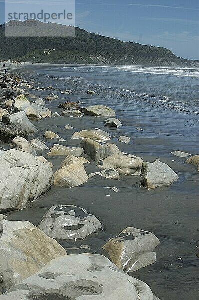 Rocky black sand beach at Ranunga  north of Greymouth  West Coast  South Island  New Zealand  Oceania