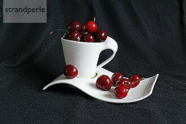 Früchte  rote Kirschen in einer weißen Keramiktasse vor dunklem Hintergrund  Provinz Quebec  Kanada  Nordamerika