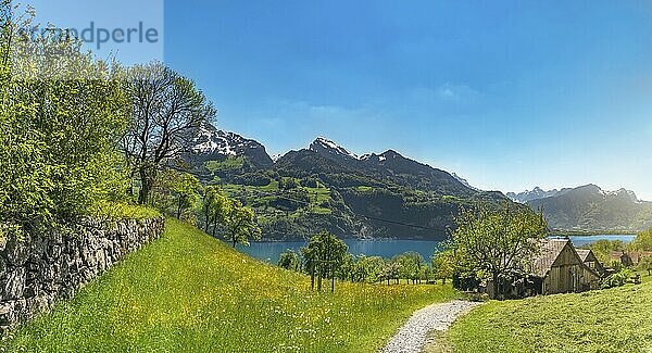 Schöne Sommerlandschaft mit alten Häusern am Ufer des Walensees  den Alpen und Wiesen  an einem sonnigen Tag  in Quarten  Schweiz  Europa