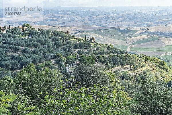 Schöne Aussicht auf die toskanische Landschaft und Sehenswürdigkeiten. Traubenfelder und Olivenöl. Von Montalcino über Montepulciano bis Siena. Sommer in Italien