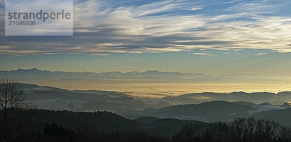 Nebelmeer über dem Bodensee  Inversionswetterlage mit Alpenblick