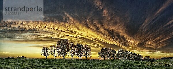 Panorama  Baumreihe im Anflug einer Wolkenfront