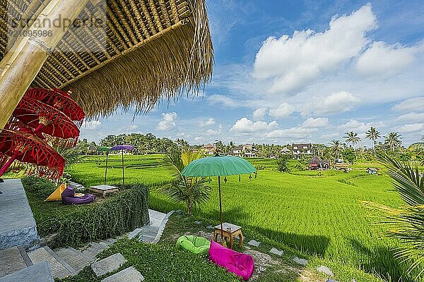 Café und Bistro in den Reisfeldern  Sitzplatz  aussen  Gastronomie  Reise  Tourismus  Ubud auf Bali  Indonesien  Asien