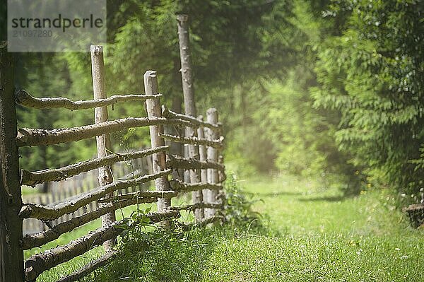 Sommer Natur Rahmen mit einer Allee mit grünem Gras in der Nähe eines alten Holzzauns  an einem sonnigen Tag. Bild mit selektivem Fokus. Sonnenschein auf dem Lande