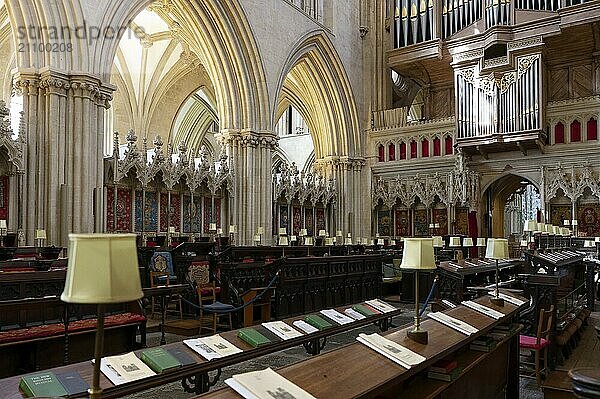 Interior view  choir stalls  Wells Cathedral  Wells  England  Great Britain