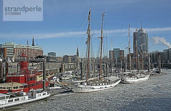 Europe Germany Hanseatic City of Hamburg Sports Boat Harbour Windjammer Tolkien Federal Republic of Germany