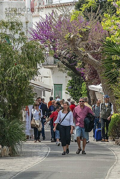 Touristen auf einer Straße in Anacapri  Insel Capri  Kampanien  Italien  Europa