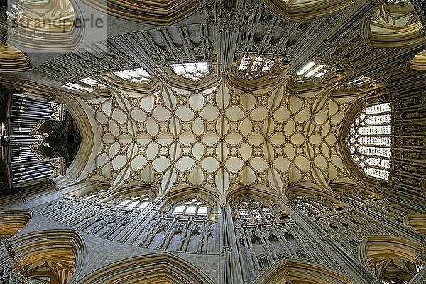 Fisheye  interior view  ceiling  Wells Cathedral  Wells  England  Great Britain