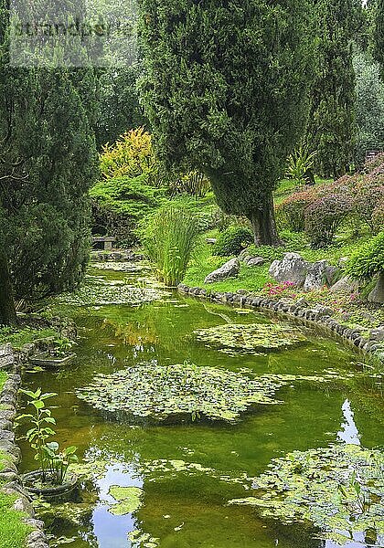 Pond in Parco Giardino Sigurtà  Valeggio sul Mincio  Province of Verona  Italy  Europe