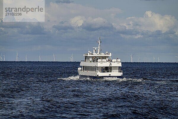 Excursion boat island of Rügen  round trip to the chalk cliffs of Rügen  at Jasmund National Park  view of the Baltic Sea between Sassnitz and Lohme  Mecklenburg-Western Pomerania  Germany  Europe