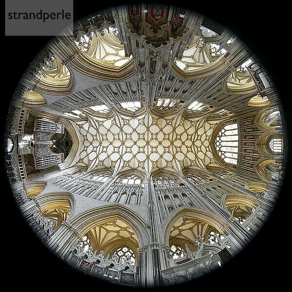 Fisheye 360  interior view  ceiling  Wells Cathedral  Wells  England  Great Britain