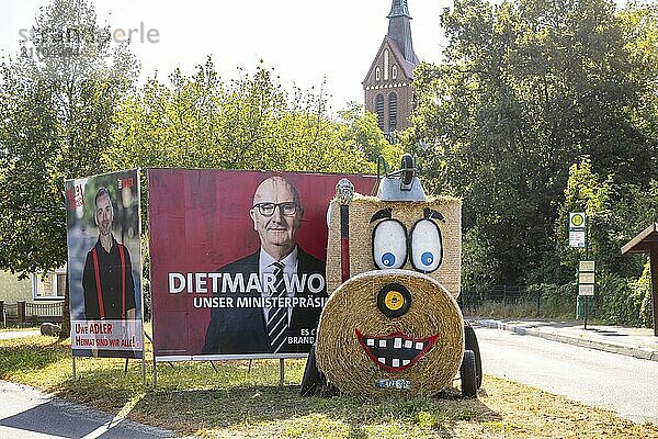 Landtagswahl in Brandenburg. Wahlplakat von Ministerpräsident Dietmar Woidke  SPD. Uetz  Potsdam  Brandenburg  Deutschland  Europa