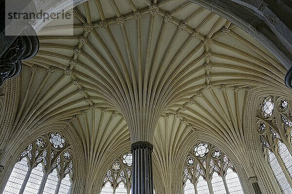 Interior view  ceiling  Chapter House  Wells Cathedral  Wells  England  Great Britain