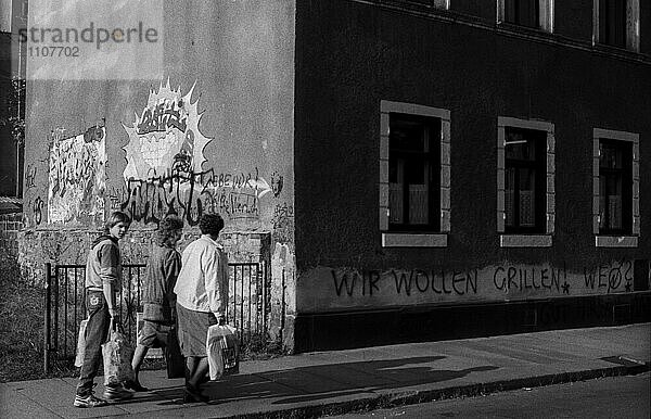 Deutschland  Dresden  19.10.1990  Neustadt  Wir wollen Grillen! Wen?  Europa