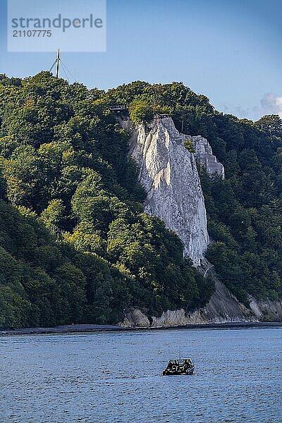 Kreidefelsen von Rügen  Aussichtsplattform an der berühmten Felsformation Königsstuhl  im Nationalpark Jasmund  Blick auf die Ostsee und die Kreidefelsen Küste  zwischen Sassnitz und Lohme  Mecklenburg-Vorpommern  Deutschland  Europa