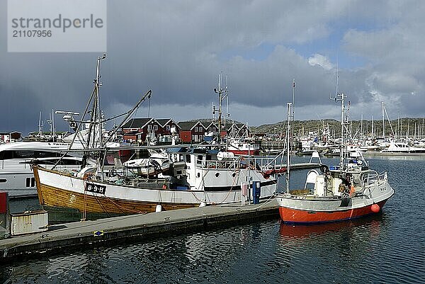 Fishing boats in Smabathavn  Bodö  Nordland  Norway  Europe