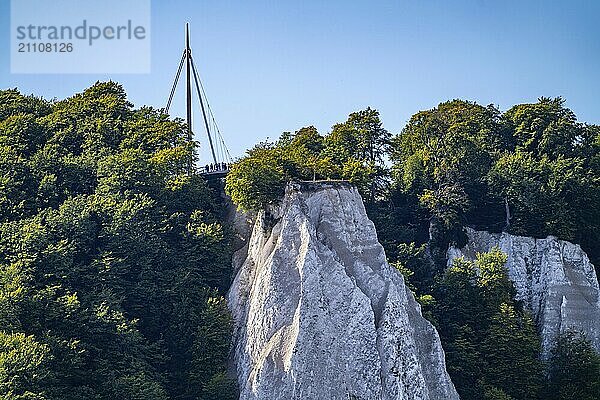 Kreidefelsen von Rügen  Aussichtsplattform an der berühmten Felsformation Königsstuhl  im Nationalpark Jasmund  Blick auf die Ostsee und die Kreidefelsen Küste  zwischen Sassnitz und Lohme  Mecklenburg-Vorpommern  Deutschland  Europa