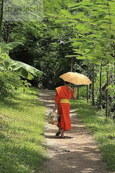 Junger Mönch in Luang Prabang  Laos  Asien