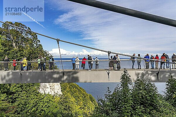 Der Skywalk Königsstuhl an den Kreidefelsen von Rügen  Aussichtsplattform an der berühmten Felsformation Königsstuhl  barrierefrei  im Nationalpark Jasmund  Blick auf die Ostsee und die Kreidefelsen Küste  zwischen Sassnitz und Lohme  Mecklenburg-Vorpommern  Deutschland  Europa