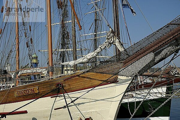 Sailing ship Freedom in Eckernförde  Schleswig-Holstein  Germany  Europe